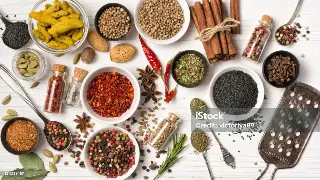 桑拿大观园：上海桑拿类型的多样性与特色解析 海报