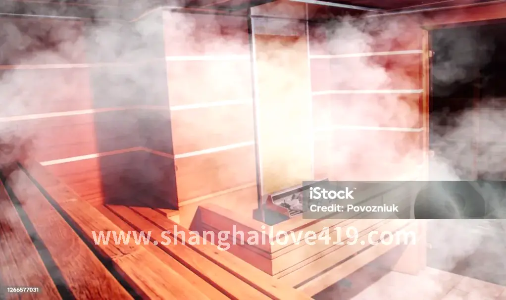 桑拿类型