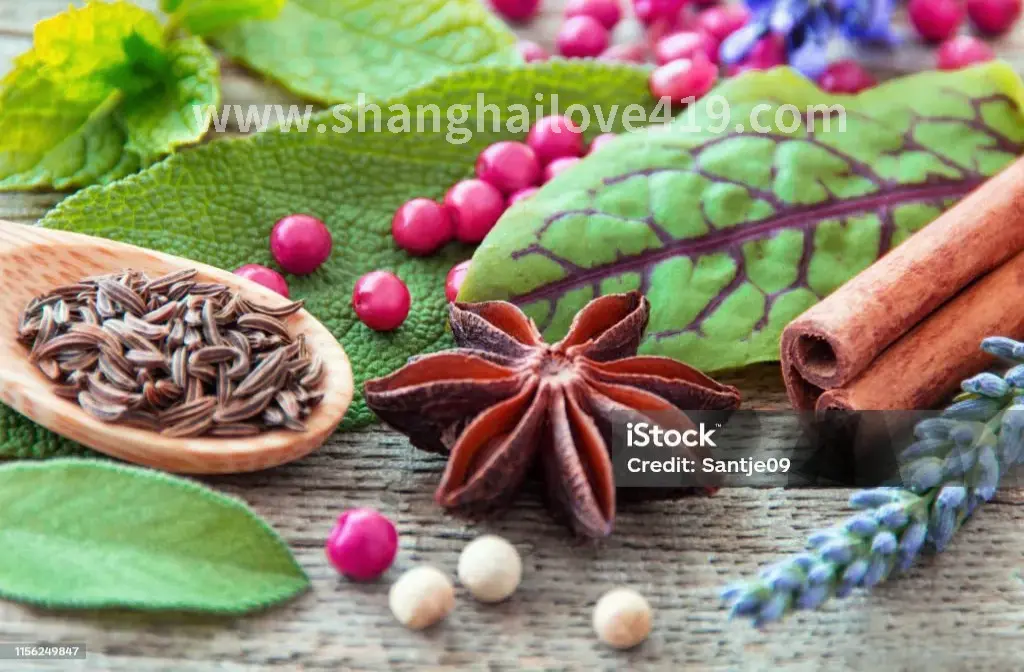 上海桑拿