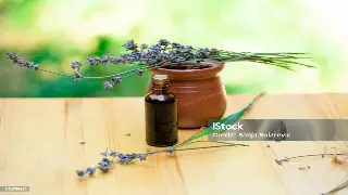 养生界大咖访谈：揭秘长寿的秘密，颠覆你的养生认知！