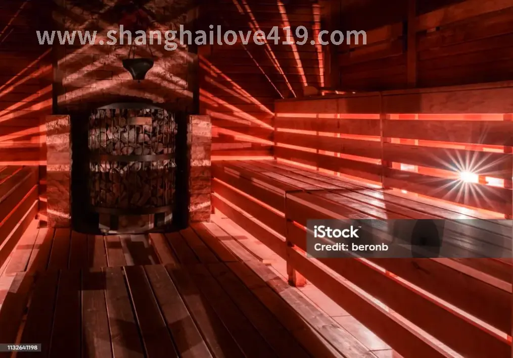 桑拿类型